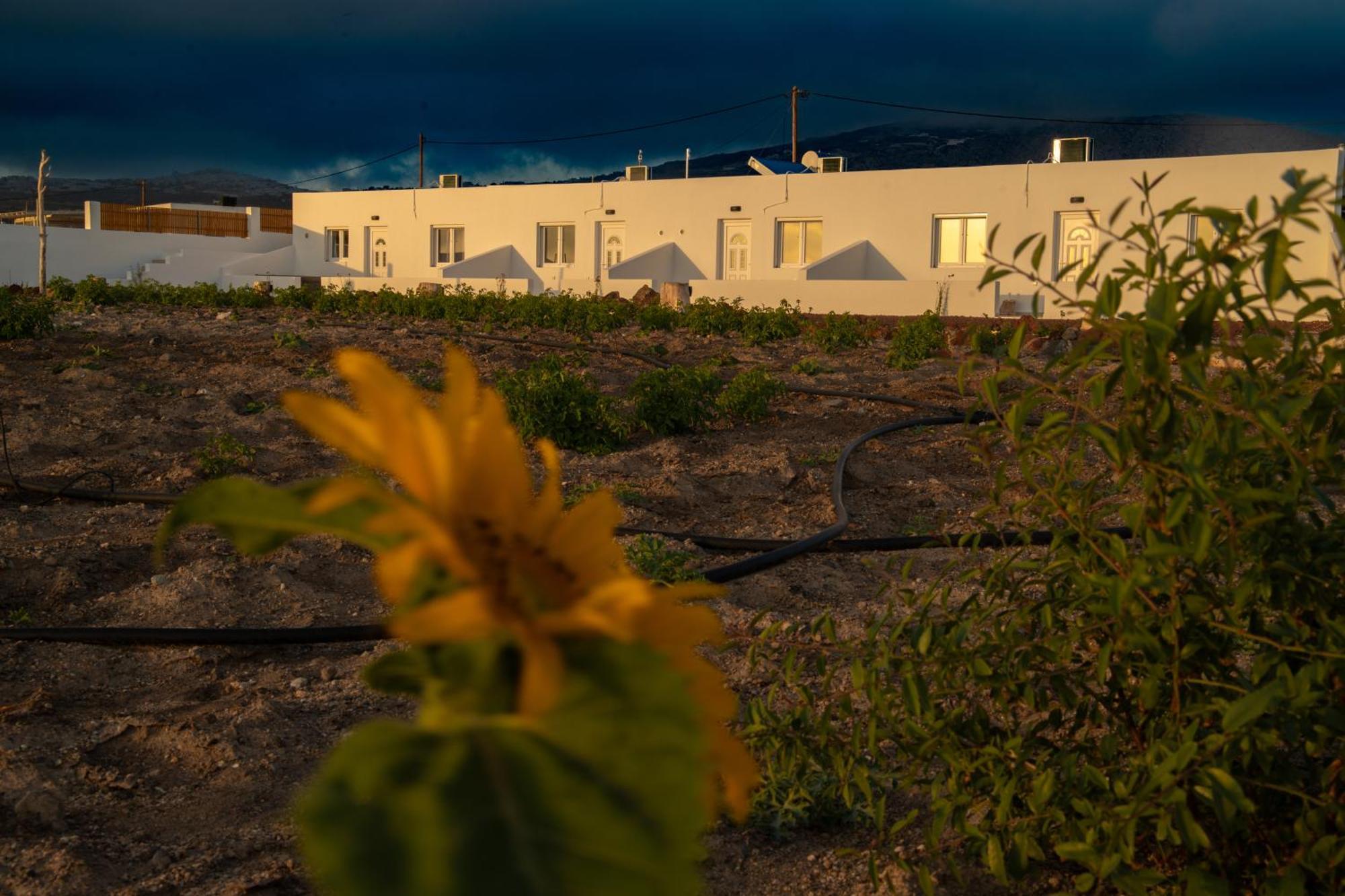 Calma Eco Houses Sunset View Εμπορειό Εξωτερικό φωτογραφία