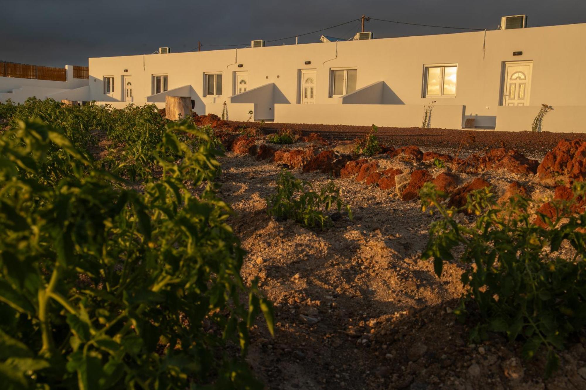 Calma Eco Houses Sunset View Εμπορειό Εξωτερικό φωτογραφία